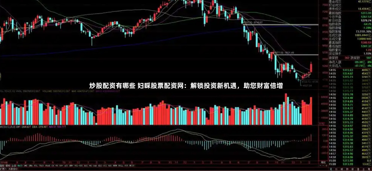 炒股配资有哪些 妇睬股票配资网：解锁投资新机遇，助您财富倍增
